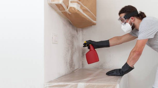 Professional Mold Removal technician working in Port Washington, NY