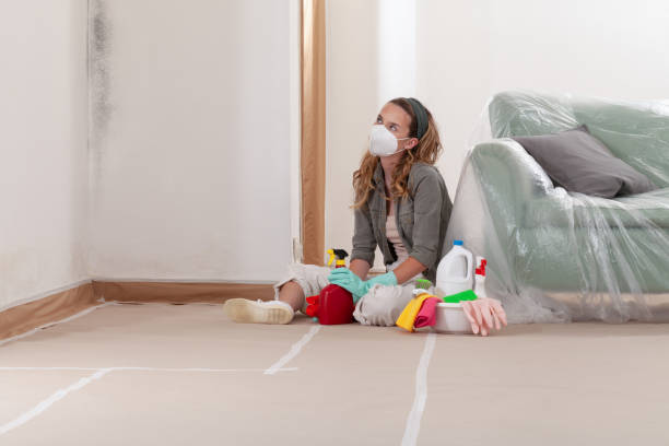 Reliable Mold Removal contractor in Port Washington, NY by WQB Mold Removal